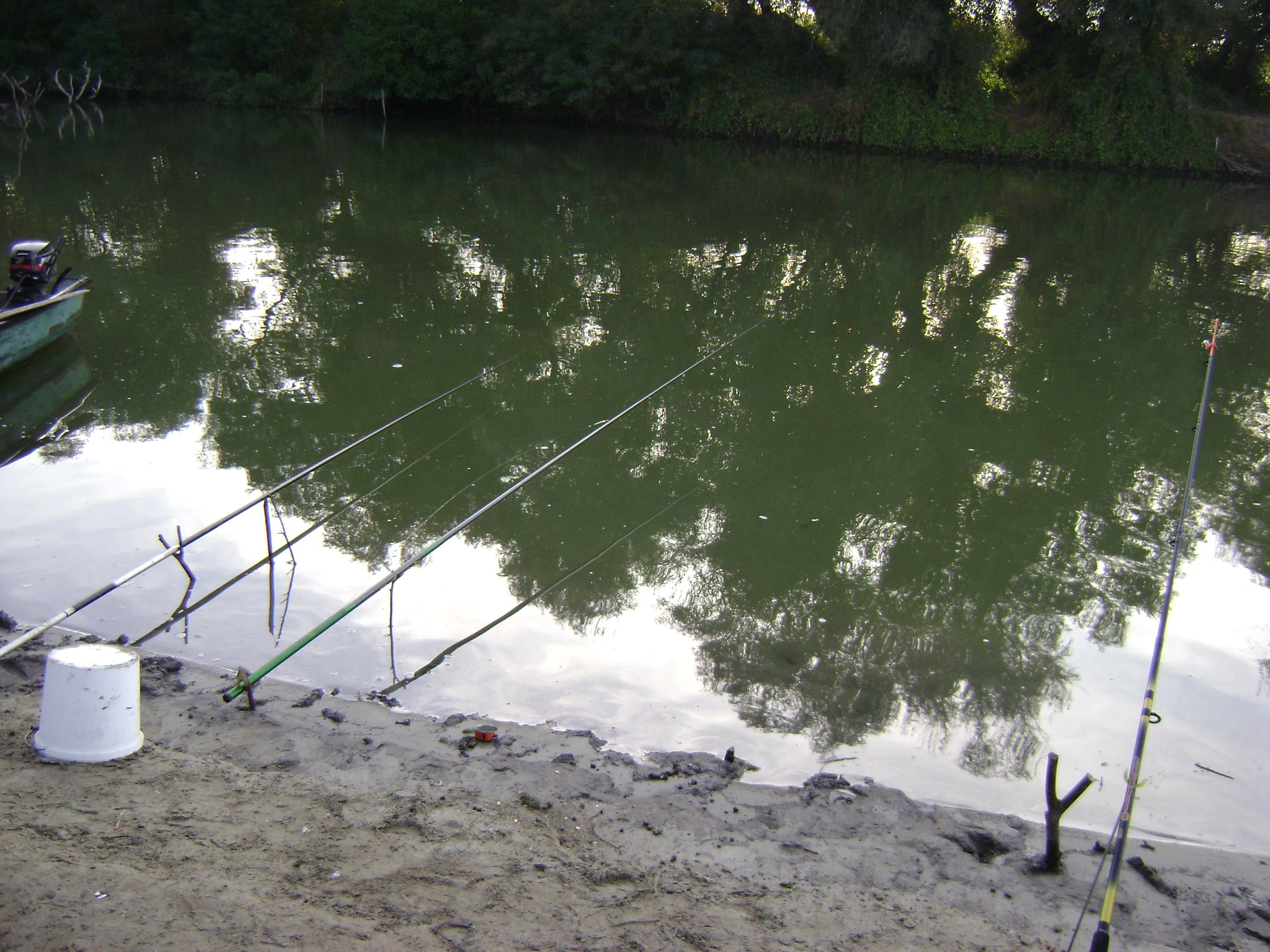 delta octombrie 2012 - delta octombrie 2012 042.JPG